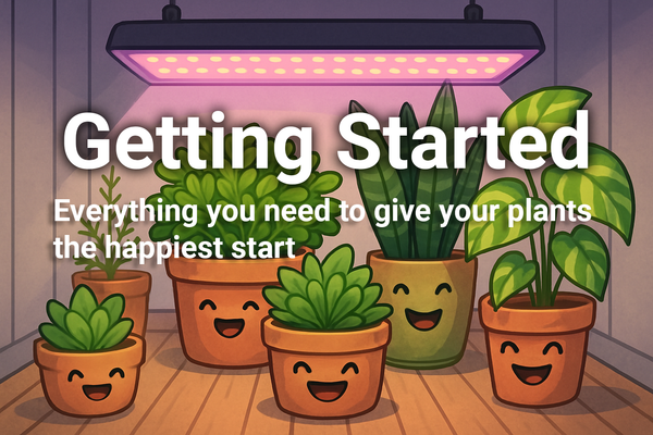 Getting Started